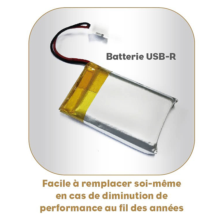 Batterie de la gamme de pèse-prsonnes USB-R Little Balance